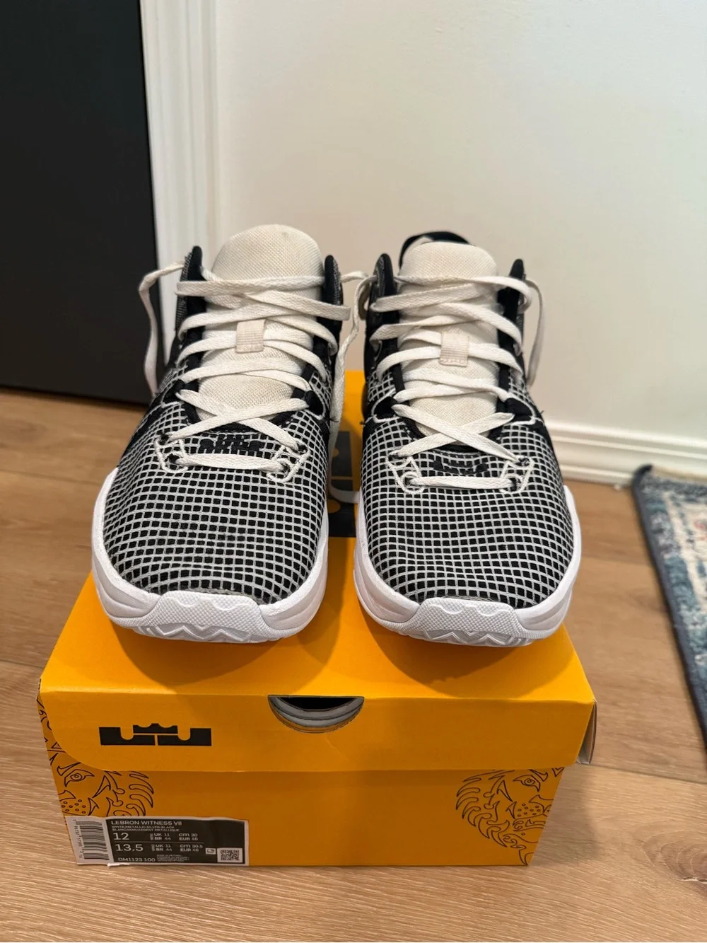 Nike Lebron Witness 6 Black/White